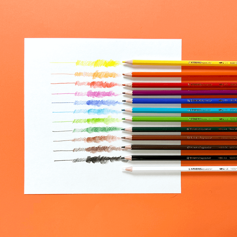 Crayon de bois de 12 couleurs variés et vives qui se transforme en aquarelle avec un peu d&