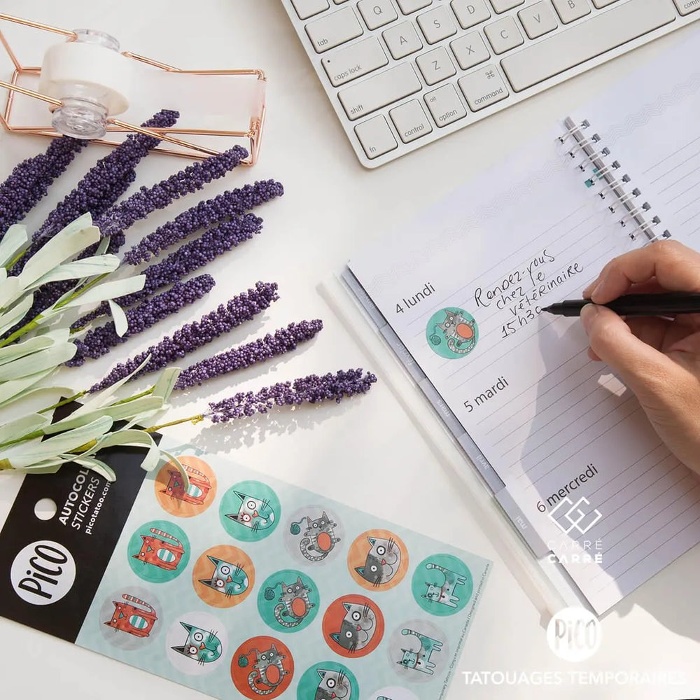 PiCO Tatoo, autocollants/ Bibi le chat gris.