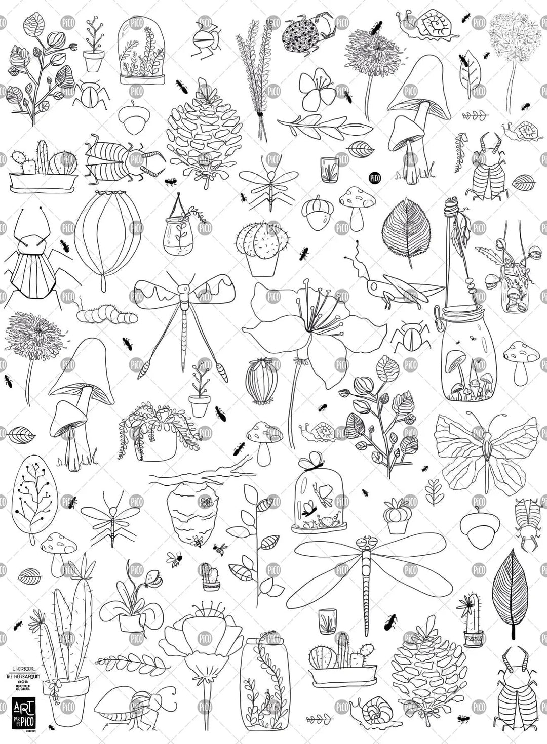 coloriage géant d'herbier imprimé au québec par PiCO tatouages temporaires