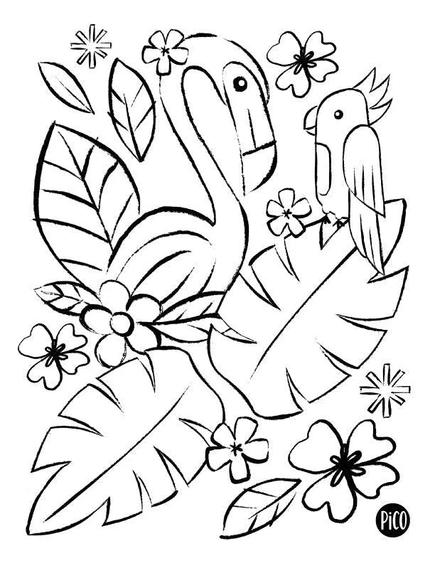Coloriage à imprimer gratuit PDF - Le flamant rose