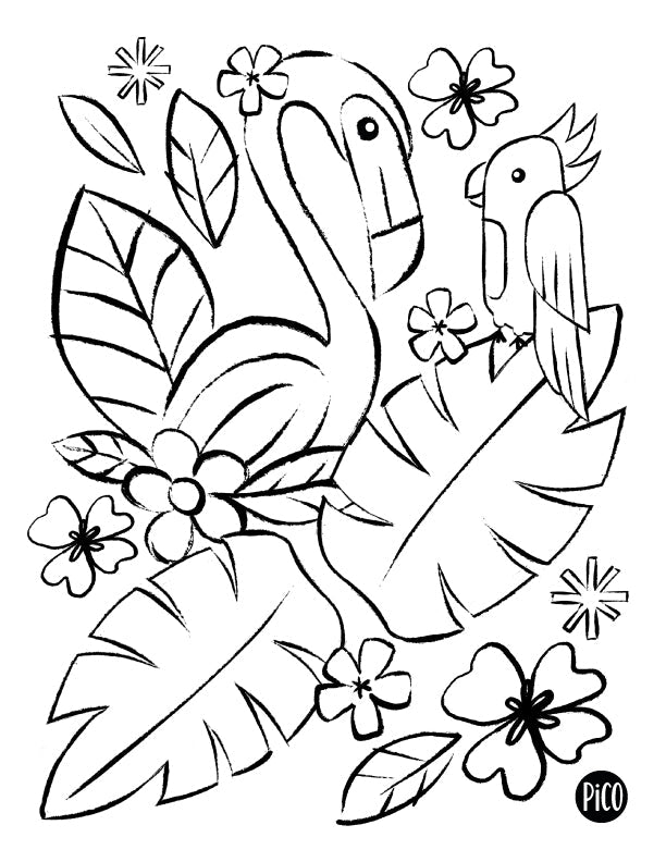 Coloriage à imprimer gratuit PDF - Le flamant rose